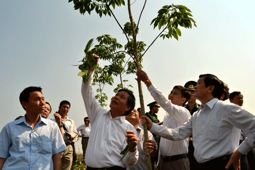 ประธานแห่งรัฐTrương Tấn Sang เดินทางไปเยือนและแลกเปลี่ยนข้อราชการที่จังหวัดĐiện Biên - ảnh 1